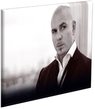 Pitbull1